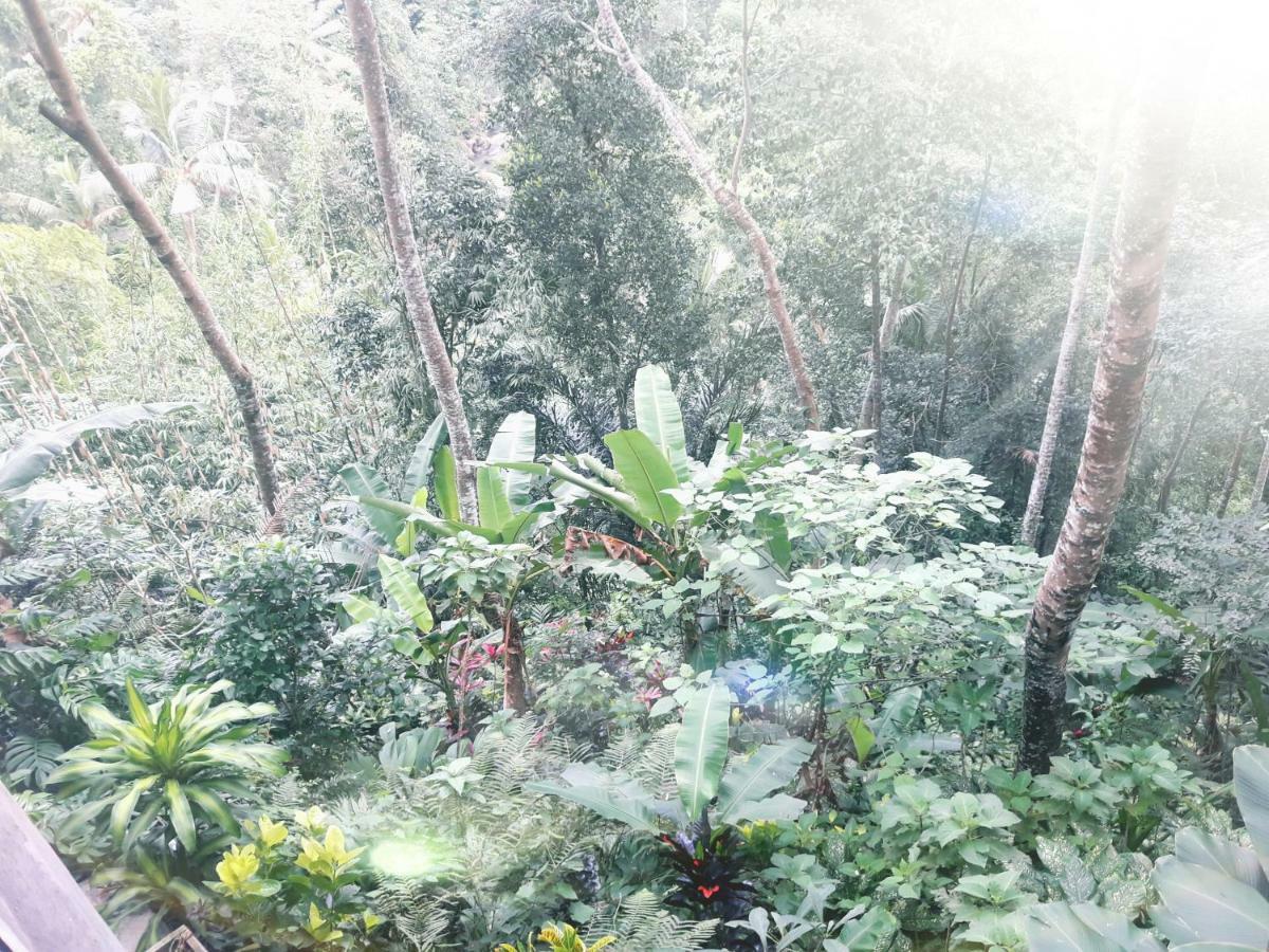 Hotel Ubud River Side House Exterior foto